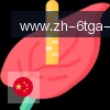 6T体育 logo