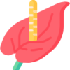 6T体育 logo