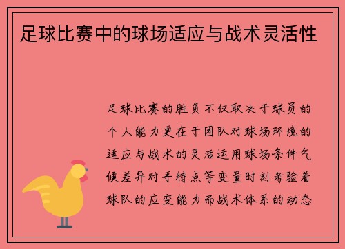足球比赛中的球场适应与战术灵活性